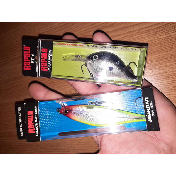 Vobler Rapala DT Dives-To Series 5cm 12g S