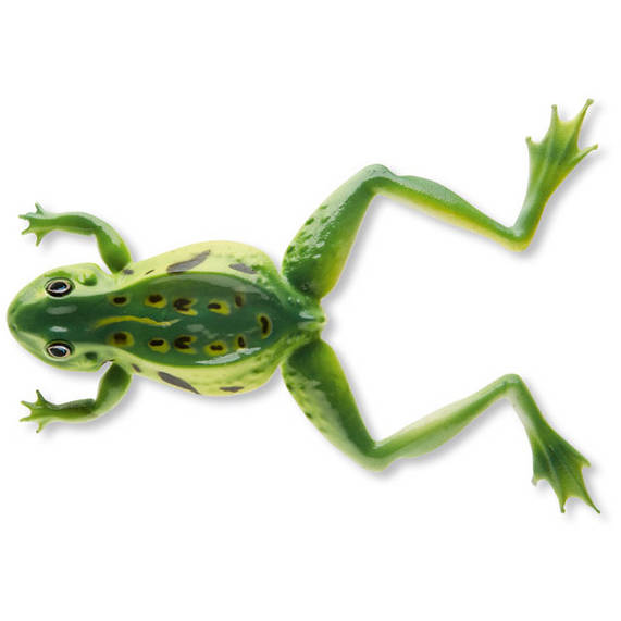 Creature Cormoran 3D-Soft Frog Green