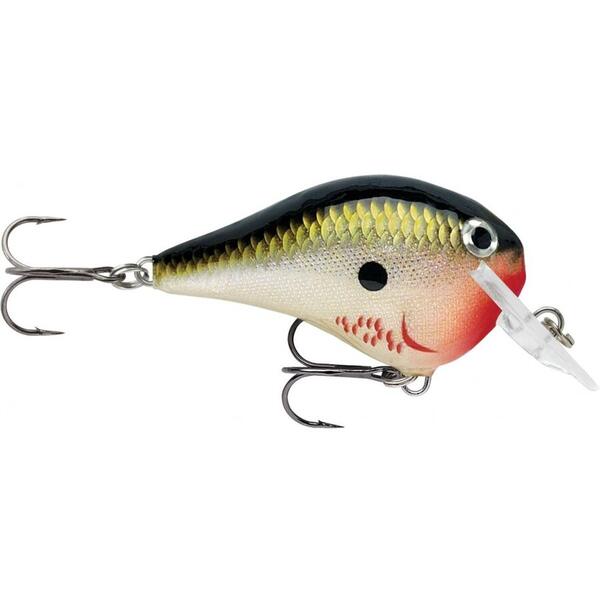 Vobler Rapala DT Fat 6cm 14g BOS