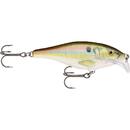 Scatter Rap Shad 7cm 7g RSL