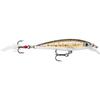 Vobler Rapala X-Rap 6cm 4g TR