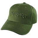 Carp Spirit Basebal Verde Logo 3D