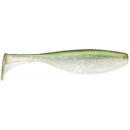 Largo Shad 10cm PLD