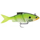 Live Kickin' Shad 10cm CSD