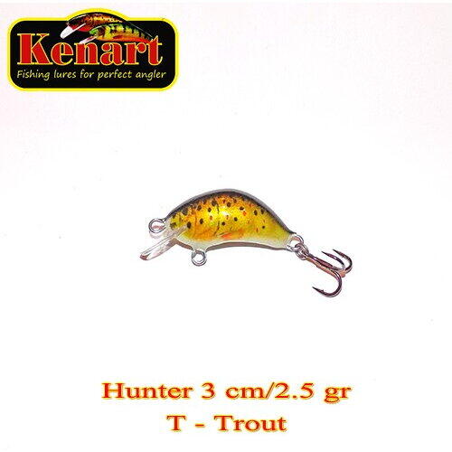 Vobler Kenart Hunter Sinking 3cm 3g Trout