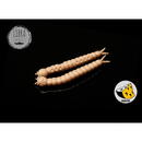 Libra Lures Slight Worm 3.8cm Culoare 035 Pellet