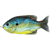 Vobler Live Target Hollow Body Sunfish Walking Bait 7.5cm 12g Floating Blue Yellow Pump