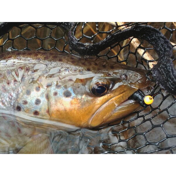 FishUp Yochu Trout Series Cheese 4.3cm #109 Light Olive