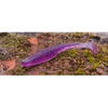 FishUp U-Shad 10.1cm #074 Green Pumpkin Seed