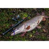 FishUp U-Shad 10.1cm #057 Bluegill