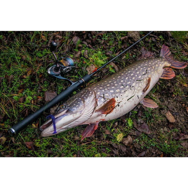 FishUp U-Shad 10.1cm #057 Bluegill
