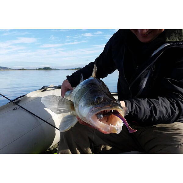 FishUp U-Shad 5cm #060 Dark Violet Peacock & Silver