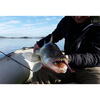 FishUp U-Shad 5cm #016 Lox Green & Black
