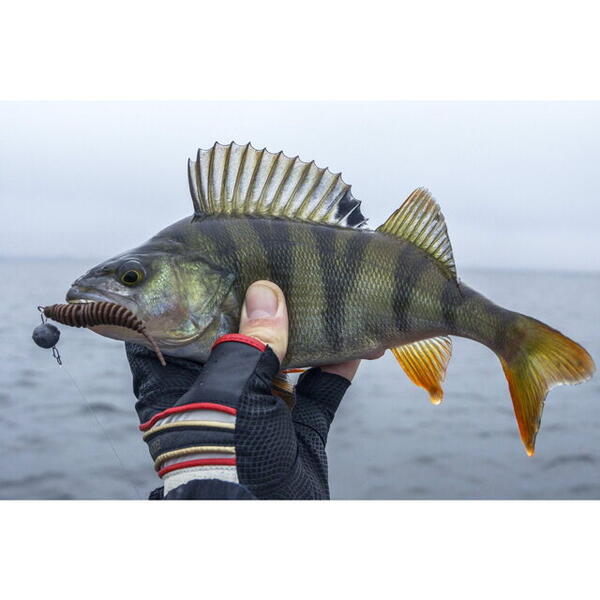 FishUp Tanta 2.5cm #055 Chartreuse Black