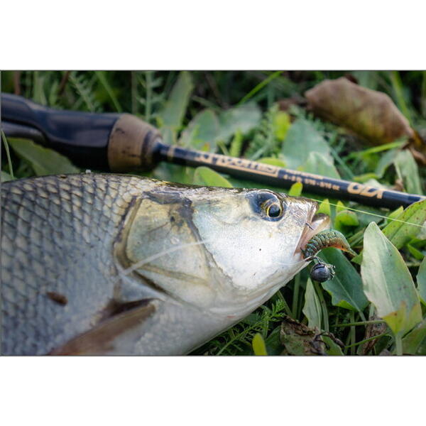 FishUp Tanta 2.5cm #026 Flo Chartreuse Green