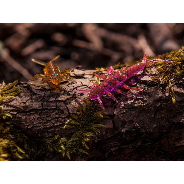 FishUp Stonefly 2.1cm #050 Green Pumpkin Brown Red & Purple