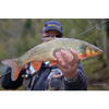 FishUp Stonefly 2.1cm #042 Watermelon Seed
