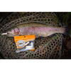 FishUp Pupa Trout Series Cheese 3.8cm #139 Earthworm Hot Pink