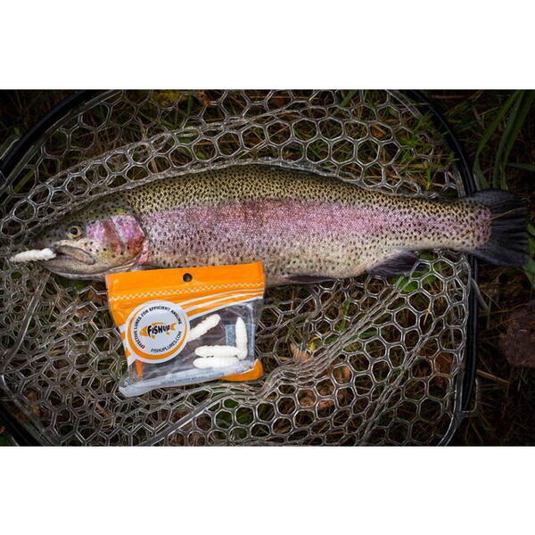FishUp Pupa Trout Series Cheese 3.2cm #139 Earthworm Hot Pink