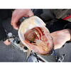 FishUp Mighty Grub 13.3cm #046 Lemon