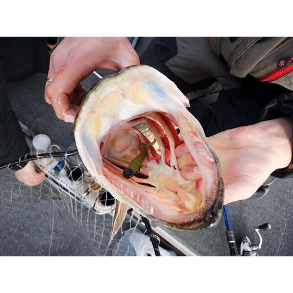 FishUp Mighty Grub 13.3cm #016 Lox Green & Black