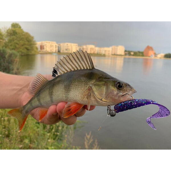 FishUp Mighty Grub 10cm #055 Chartreuse Black