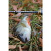 FishUp Fancy Grub 2.5cm #043 Watermelon Brown Black