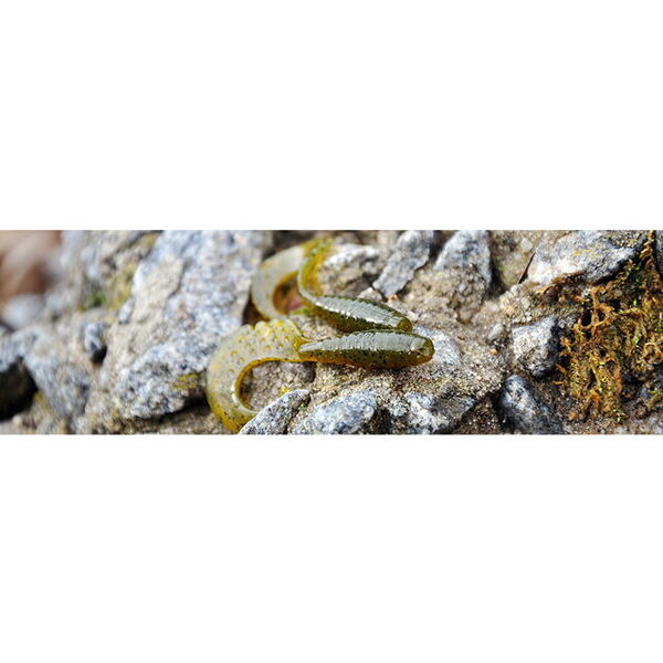 FishUp Fancy Grub 2.5cm #016 Lox Green & Black