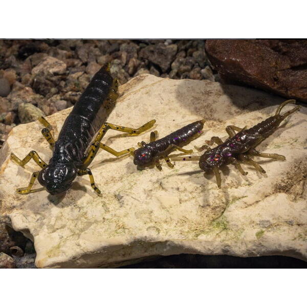 FishUp Dragonfly 2cm #036 Caramel Green & Black