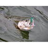FishUp Diving Bug 5cm #074 Green Pumpkin Seed