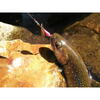 Lingurita rotativa Smith Ltd. AR-S Spinner Trout 3.5g 02 MTBK