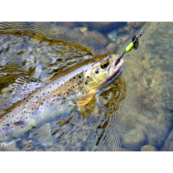 Lingurita rotativa Smith Ltd. AR-S Spinner Trout 3.5g 02 MTBK