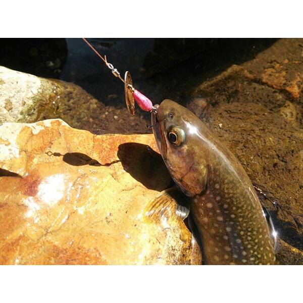 Lingurita rotativa Smith Ltd. AR-S Spinner Trout 3.5g 02 MTBK