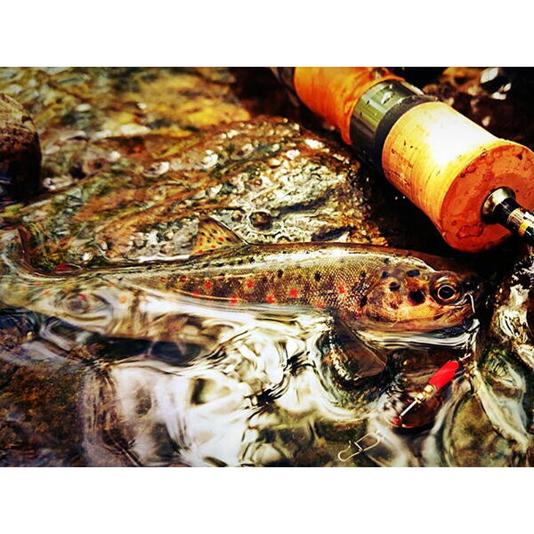 Lingurita rotativa Smith Ltd. AR-S Spinner Trout 6g 08