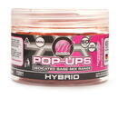 Dedicated Pop-Ups Mini Hybrid 10mm