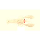 Mustad Mezashi Rock Lobster 7.5cm 6g Pearl White