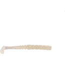 Finesse Bari-Bari Paddle Tail 5cm White Luminous 12buc