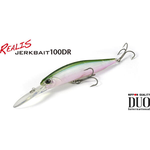 Vobler Duo Realis Jerkbait 100DR 10cm 15.6g River Bait