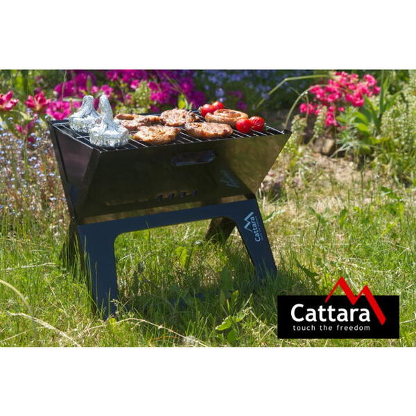 Cattara Gratar Pe Carbuni Piran 28 X 43 cm Pliabil