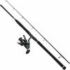 DAM Madcat Silure Vertical Combo 1.80m 100-250g + mulineta Penn 5000