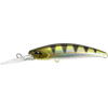 Vobler Duo Realis Fangbait 80DR 8cm 11.5g ANA3344 Archer Fish