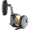 Mulineta Daiwa 24 Saltiga L 15