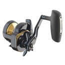 Mulineta Daiwa 24 Saltiga L 15