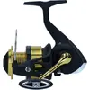 Mulineta Daiwa RS 2000