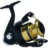 Mulineta Daiwa RS 2000