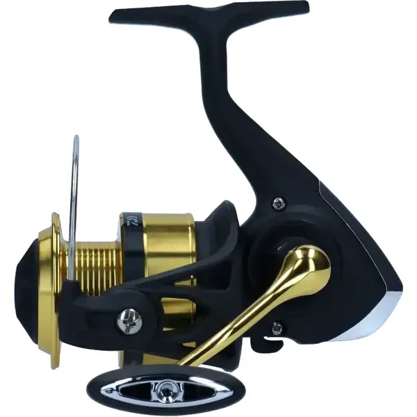 Mulineta Daiwa RS 2000