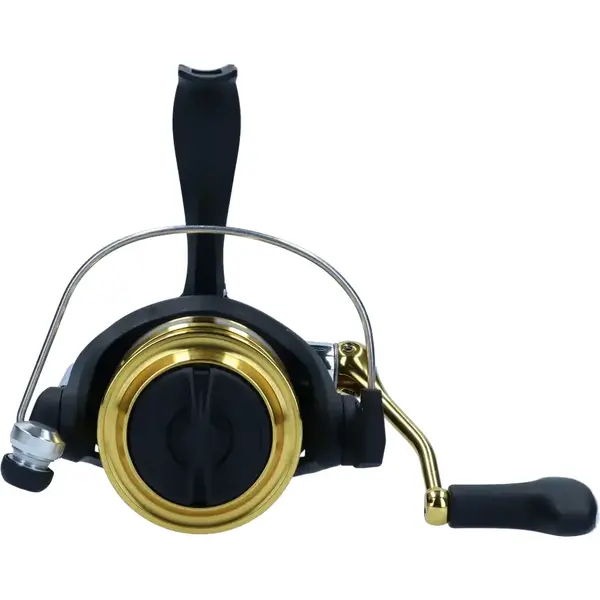 Mulineta Daiwa RS 2000