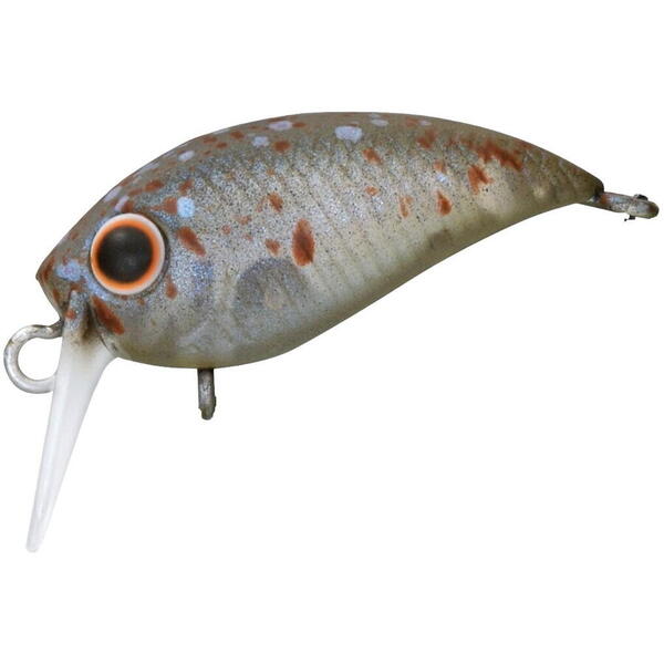 Vobler Daiwa Presso Wabcra Jr. 25F SR 2.5cm 1.5g Splash Olive Pearl